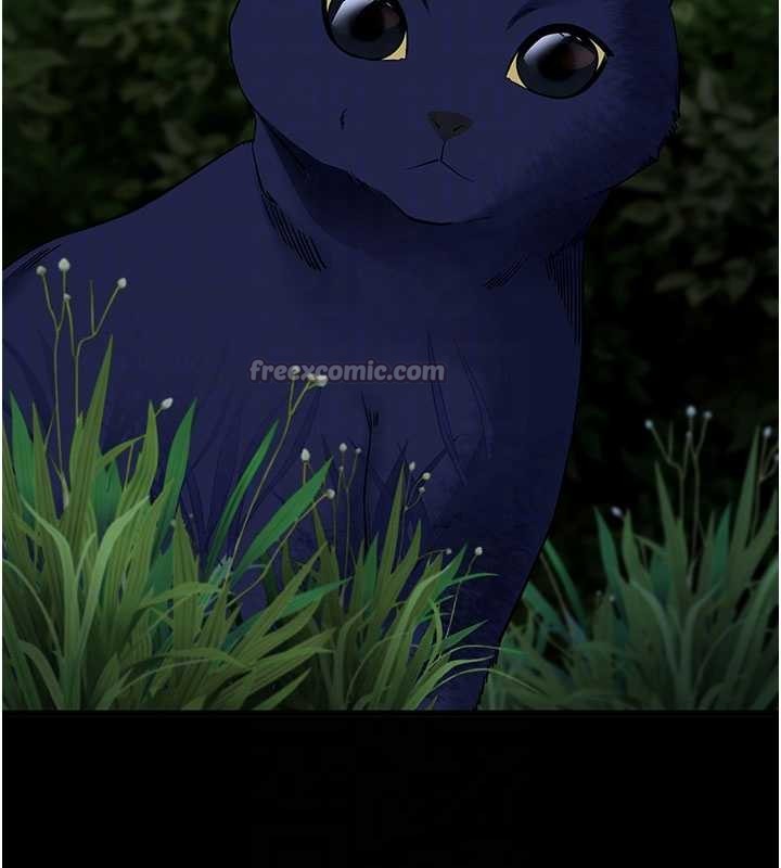 第41话-我看得非常开心