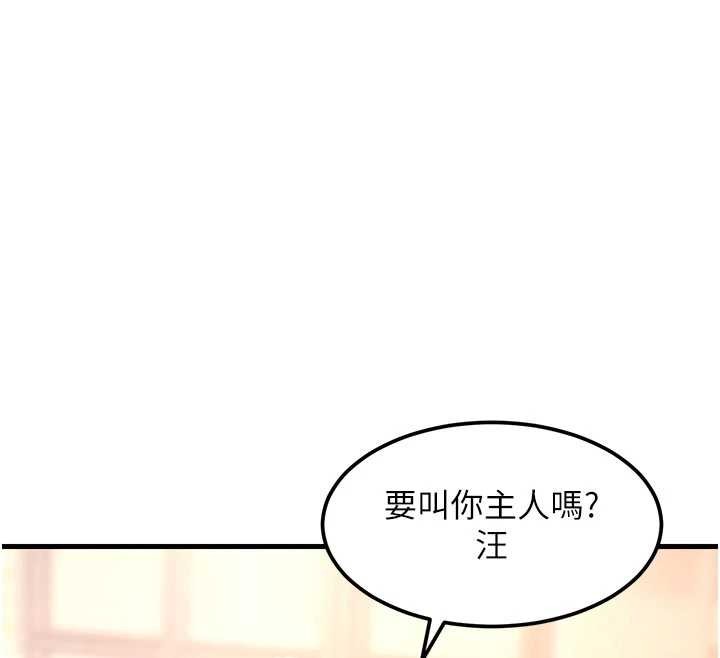 第16话-主人是狗派还是猫派?