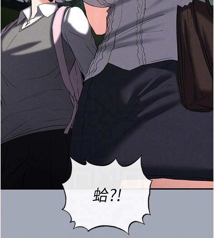 第56话-乐园领导人退位大典
