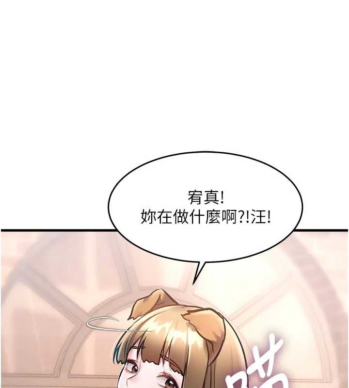 第17话-驯服野猫守则