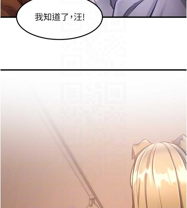 第17话-驯服野猫守则