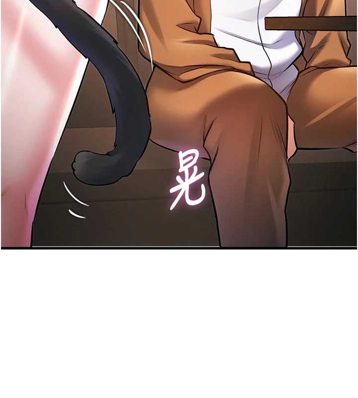 第17话-驯服野猫守则
