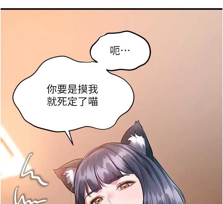 第17话-驯服野猫守则