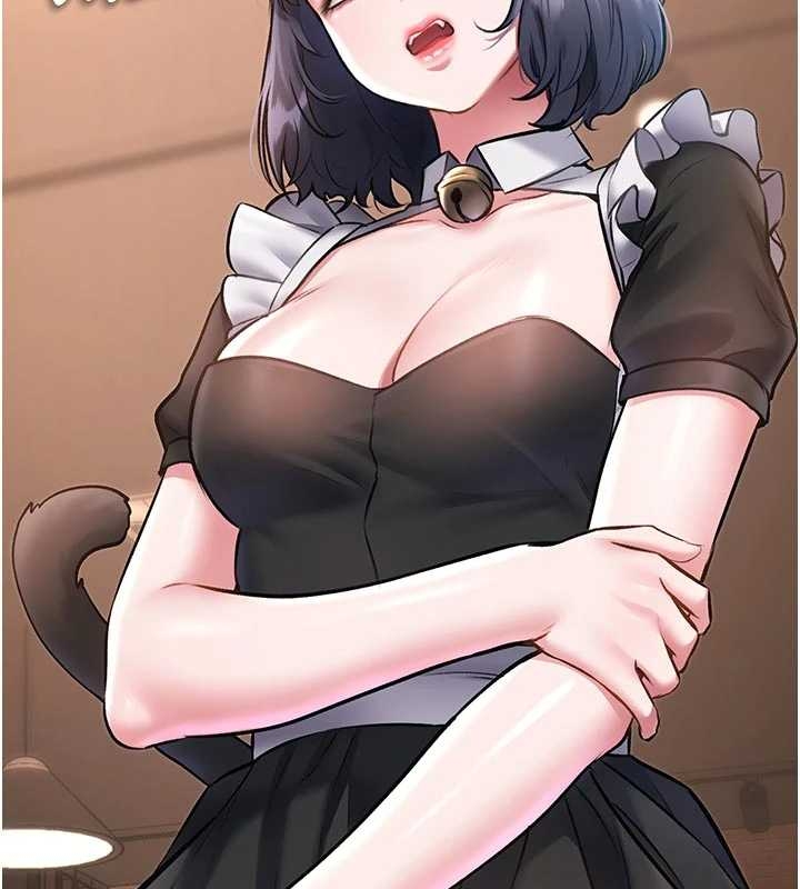 第17话-驯服野猫守则