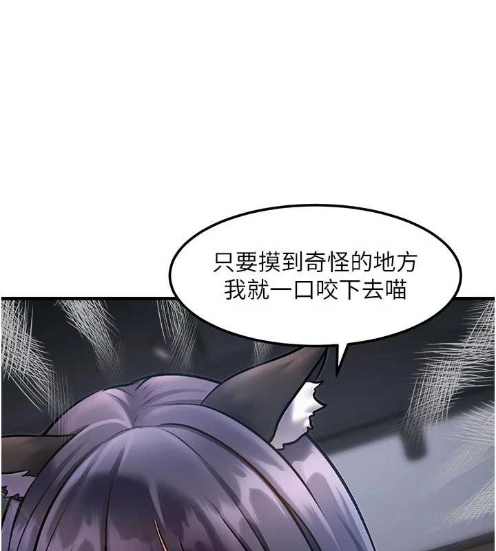第17话-驯服野猫守则