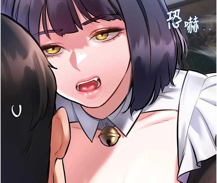 第17话-驯服野猫守则