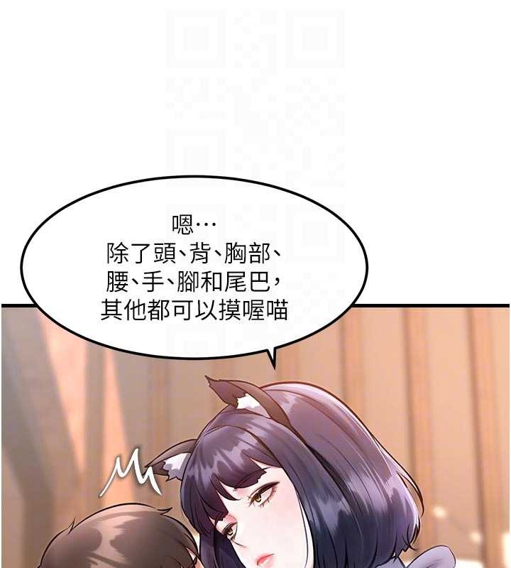 第17话-驯服野猫守则