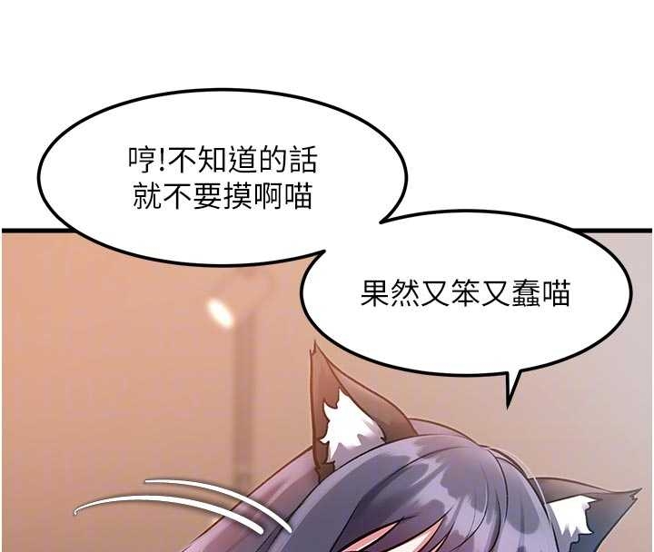 第17话-驯服野猫守则