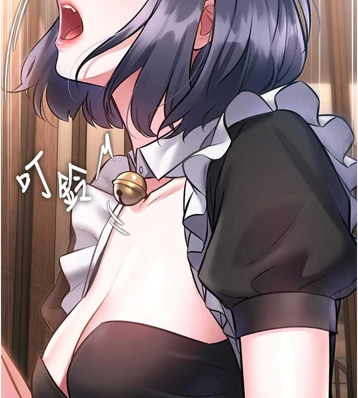 第17话-驯服野猫守则