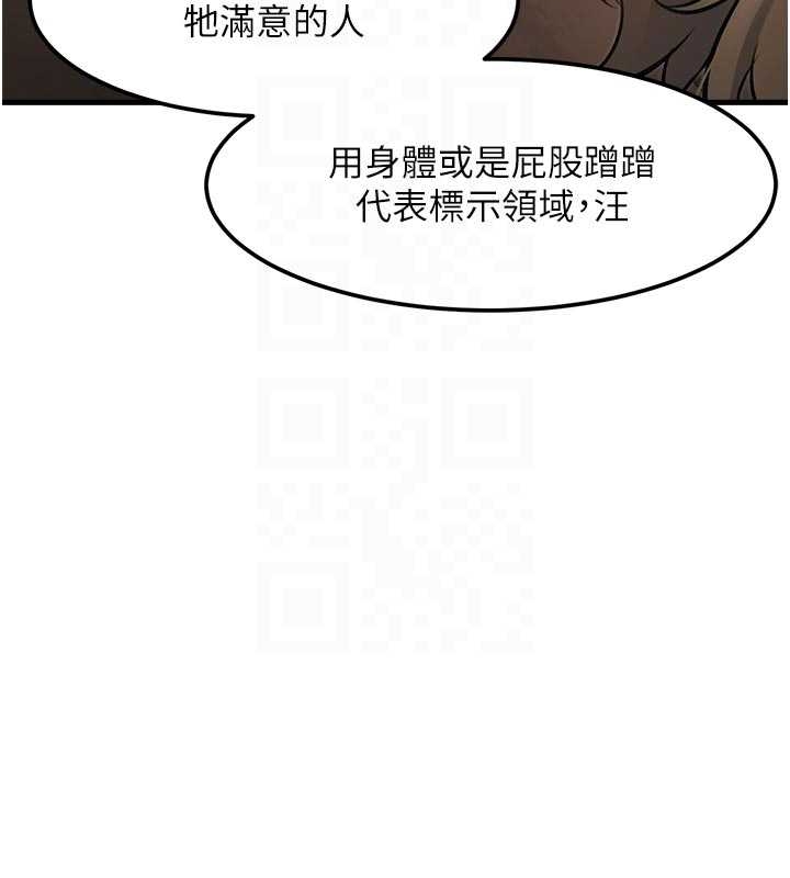 第17话-驯服野猫守则
