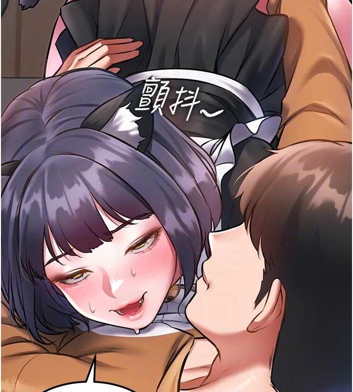 第17话-驯服野猫守则