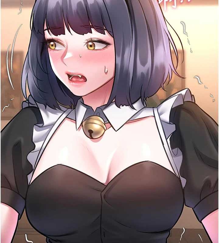 第17话-驯服野猫守则