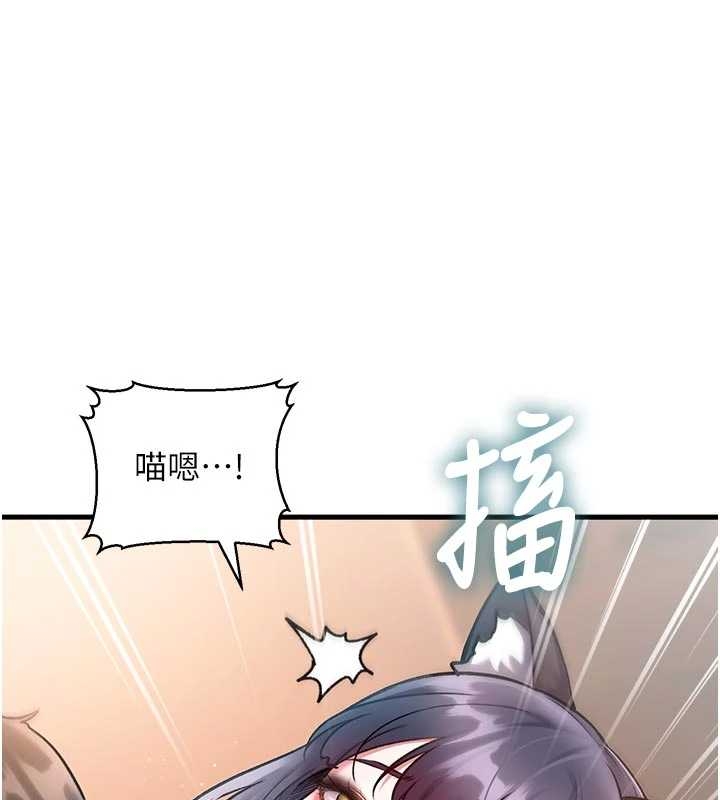 第17话-驯服野猫守则
