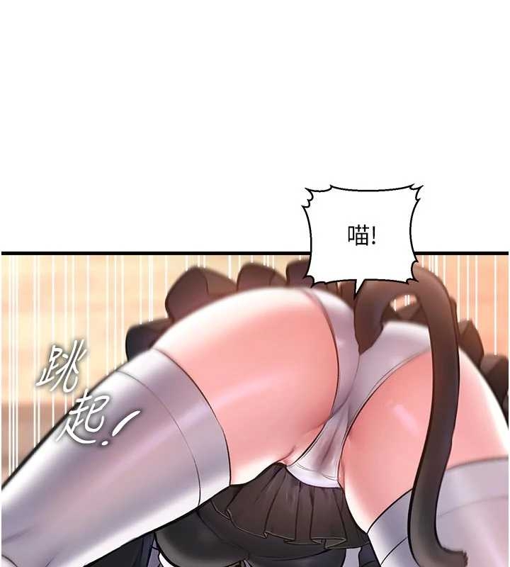 第17话-驯服野猫守则