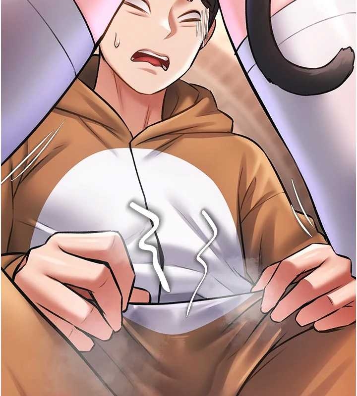 第17话-驯服野猫守则