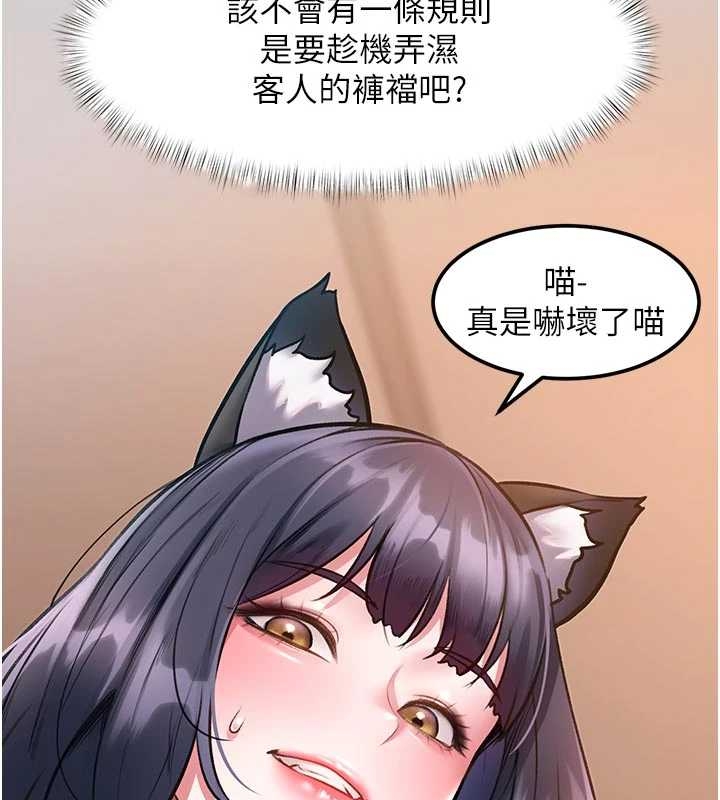 第17话-驯服野猫守则