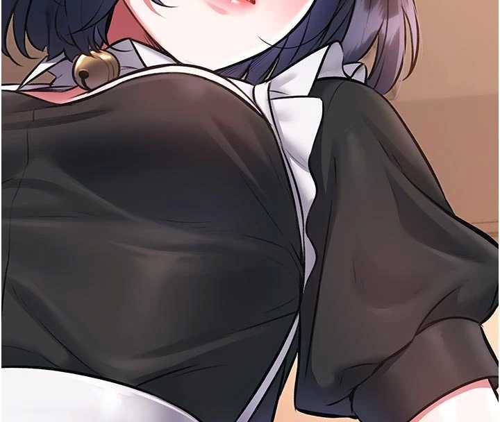 第17话-驯服野猫守则