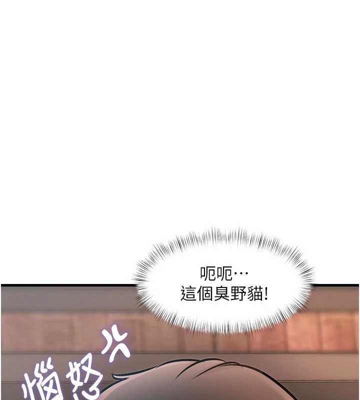 第17话-驯服野猫守则