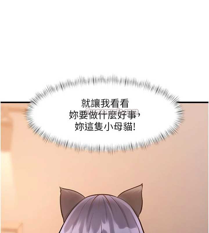 第17话-驯服野猫守则