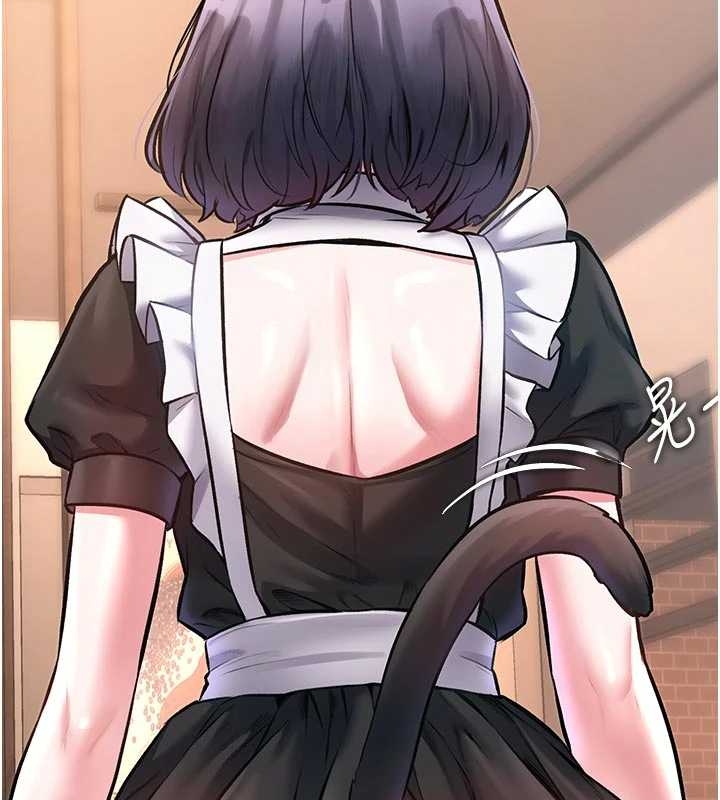 第17话-驯服野猫守则