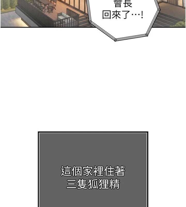 第17话-可爱的媳妇们正在等我
