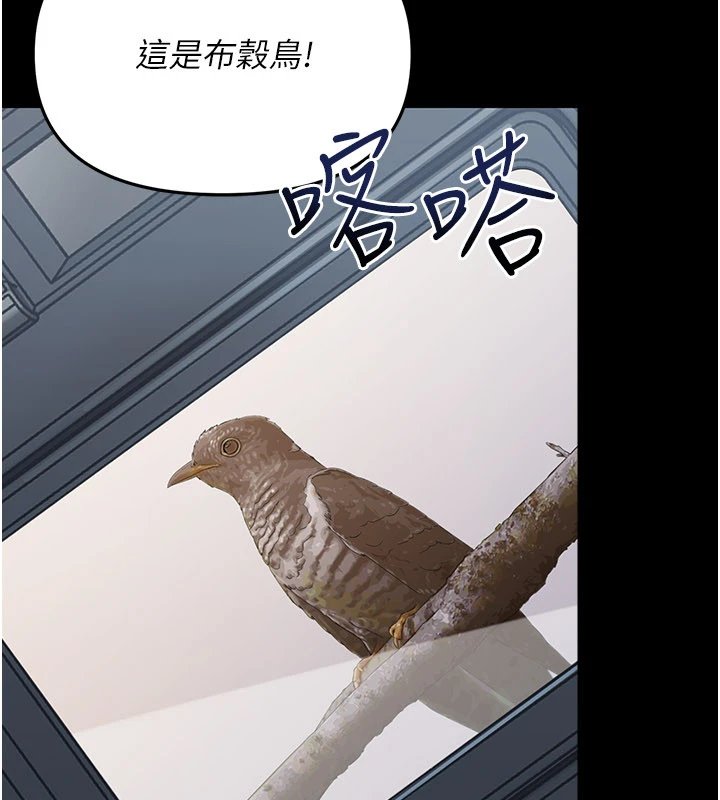 第1话-长不大的小飞侠