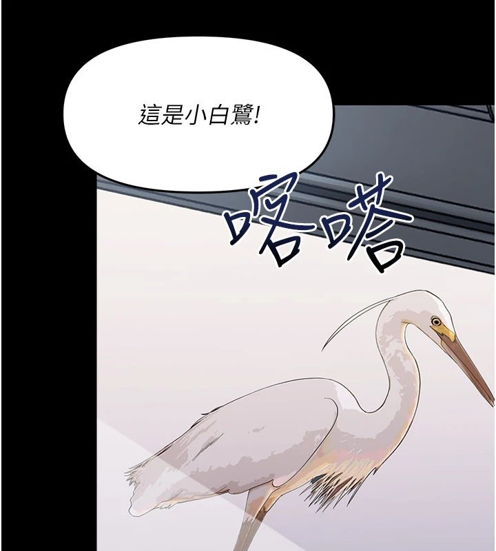 第1话-长不大的小飞侠