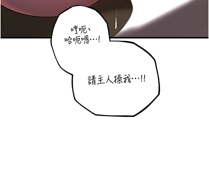 第42话-失去理智的母狗 - 第82.jpg页
