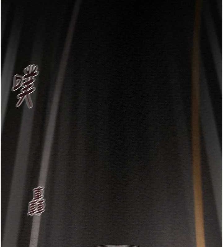 第47话-按照计画进行 - 第160.jpg页