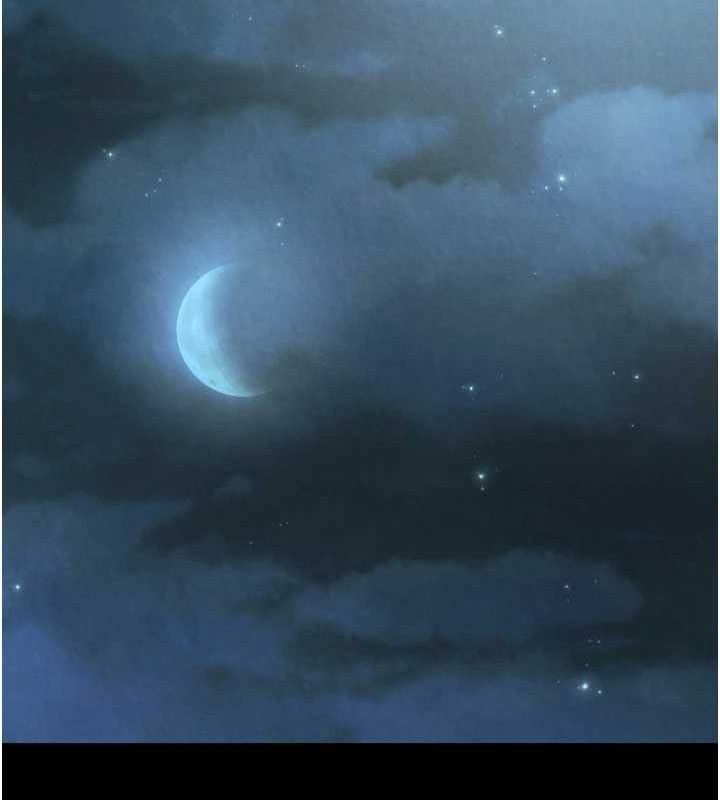 第79话-武林盟主就是要左拥右抱 - 第27.jpg页