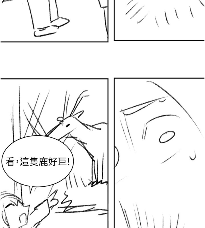 洞洞杂货店 休刊公告
