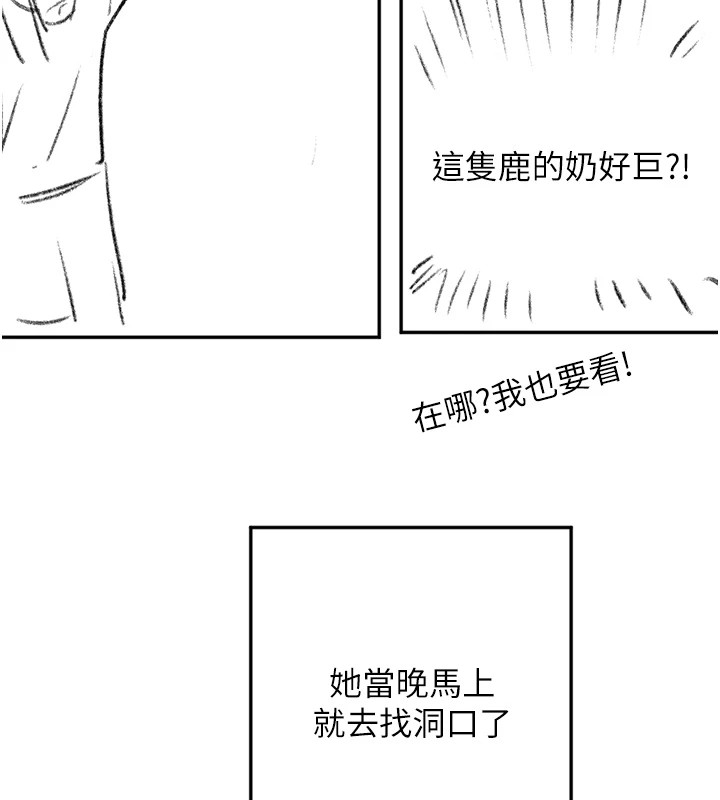 洞洞杂货店 休刊公告