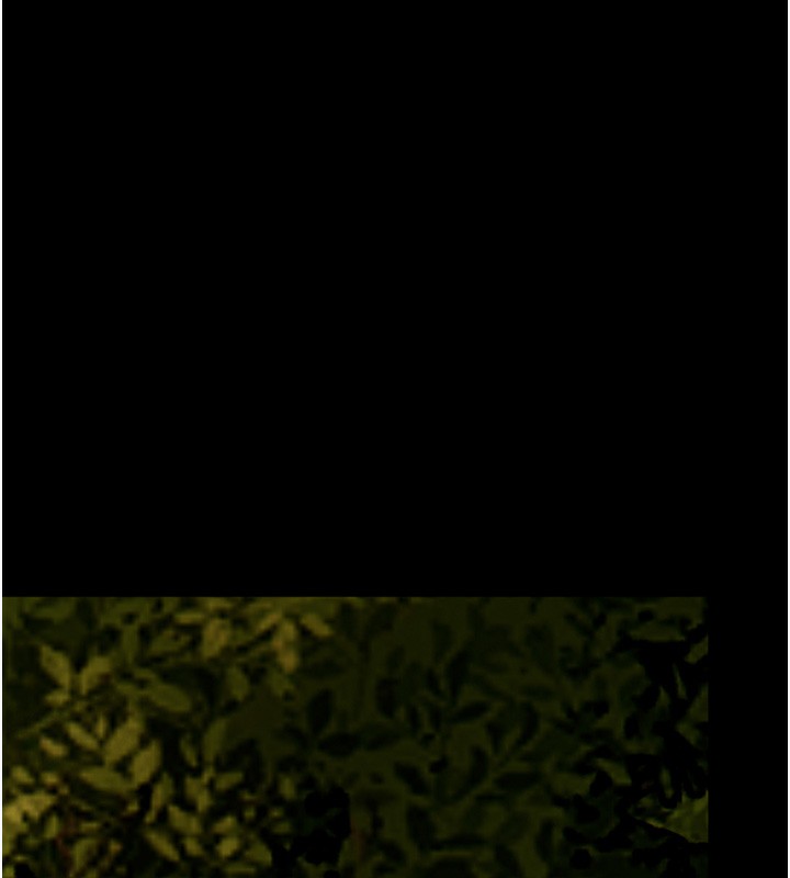 第54话-心醉学子无情打桩机 - 第11.jpg页