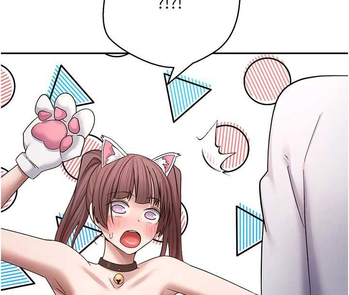 第54话-三只淫乱的母猫