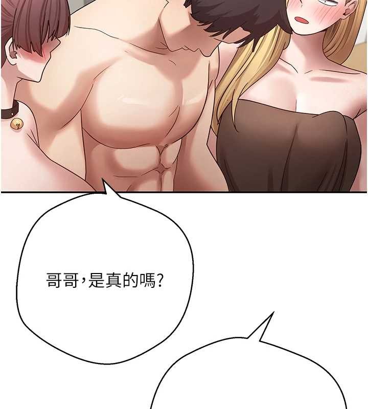 第54话-三只淫乱的母猫