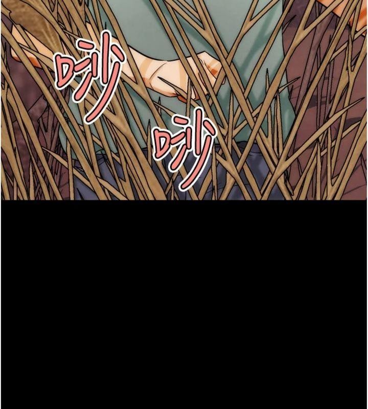 第34话-与波莉重逢