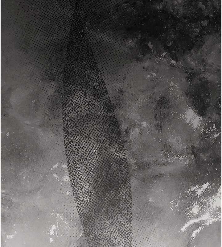 第33话-清醒的沉沦