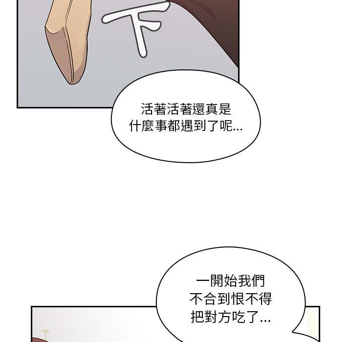 23 - 第13.jpg页