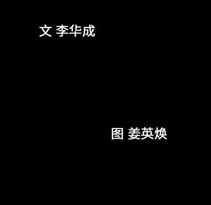 第37话 - 第11.jpg页