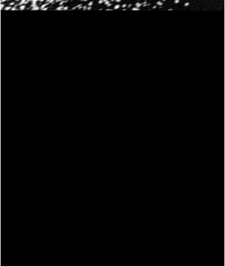 第20话-动物般地交媾 - 第122.jpg页