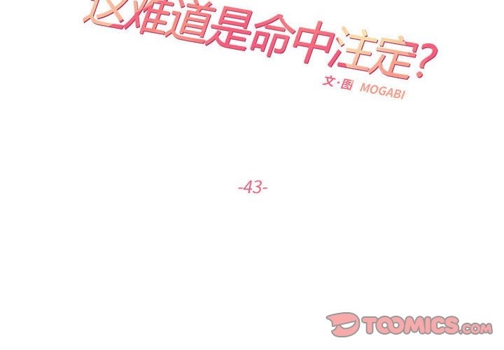 第43话