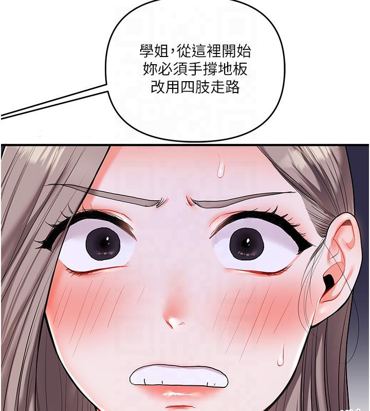 第37话-在雾气里开新「菊」 - 第54.jpg页
