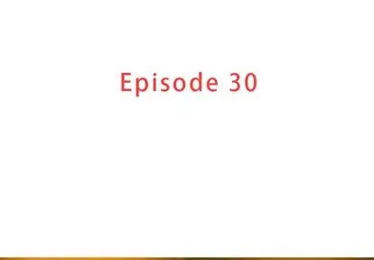 第30章 - 第3.jpg页