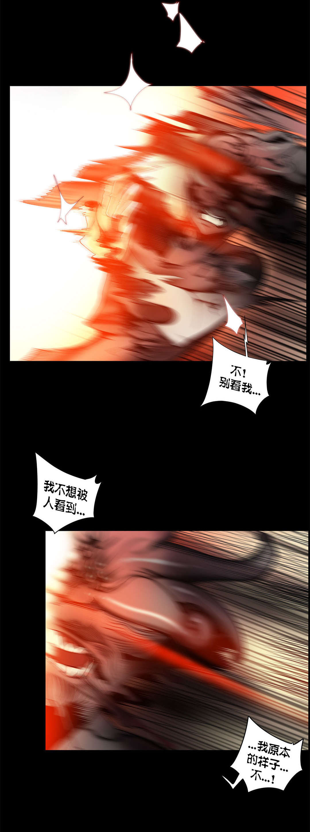 50 - 第5.jpg页