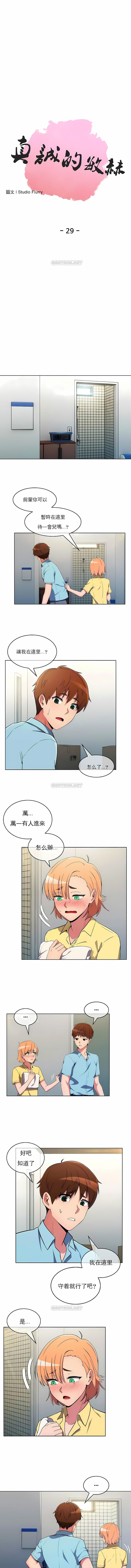 真誠的敏赫 第29话 第1页