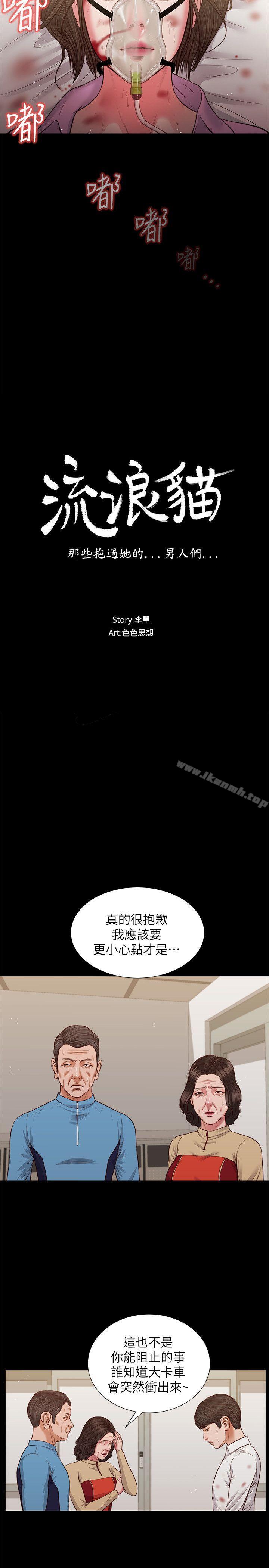 流浪貓 第39话-失去记忆 第3页